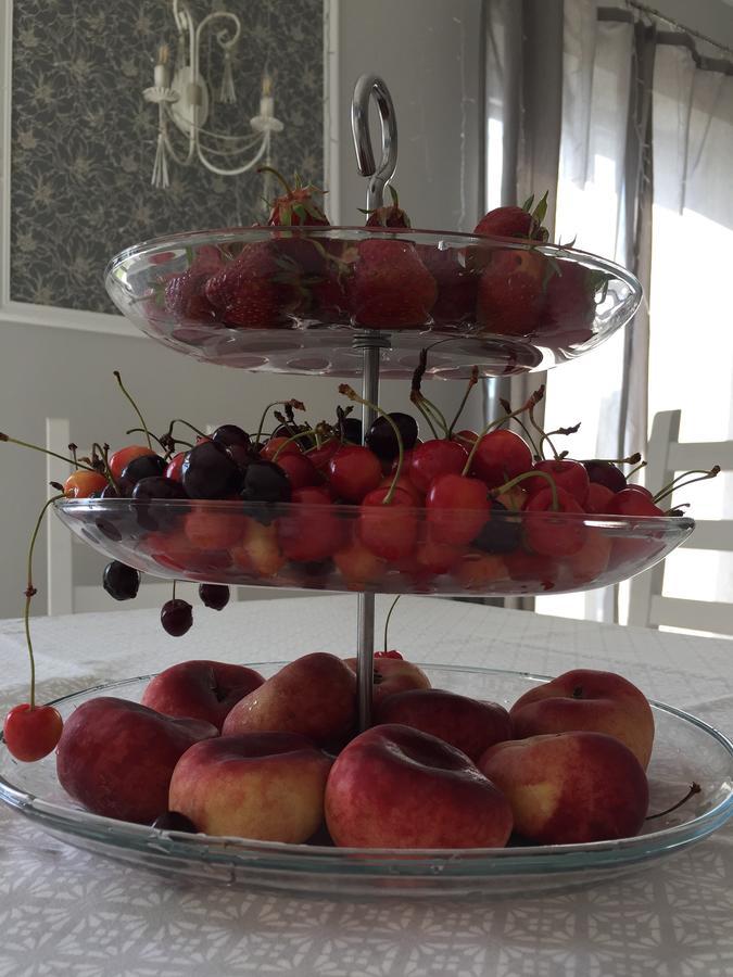 Shale Na Polotskoy Villa Bobruisk Dış mekan fotoğraf